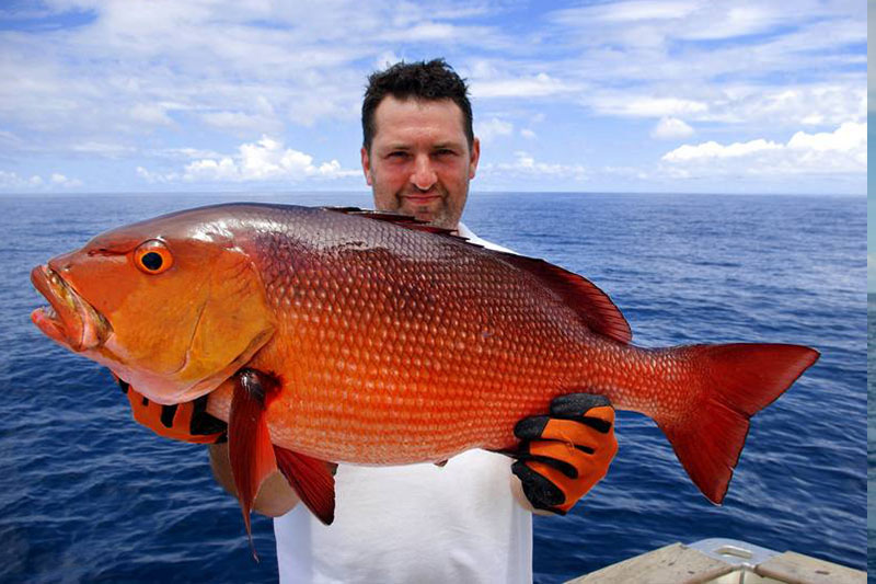 Gulf Stream Fishing Charter